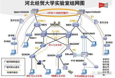 【技術(shù)】各種大學(xué)校園網(wǎng)絡(luò)拓?fù)鋱D